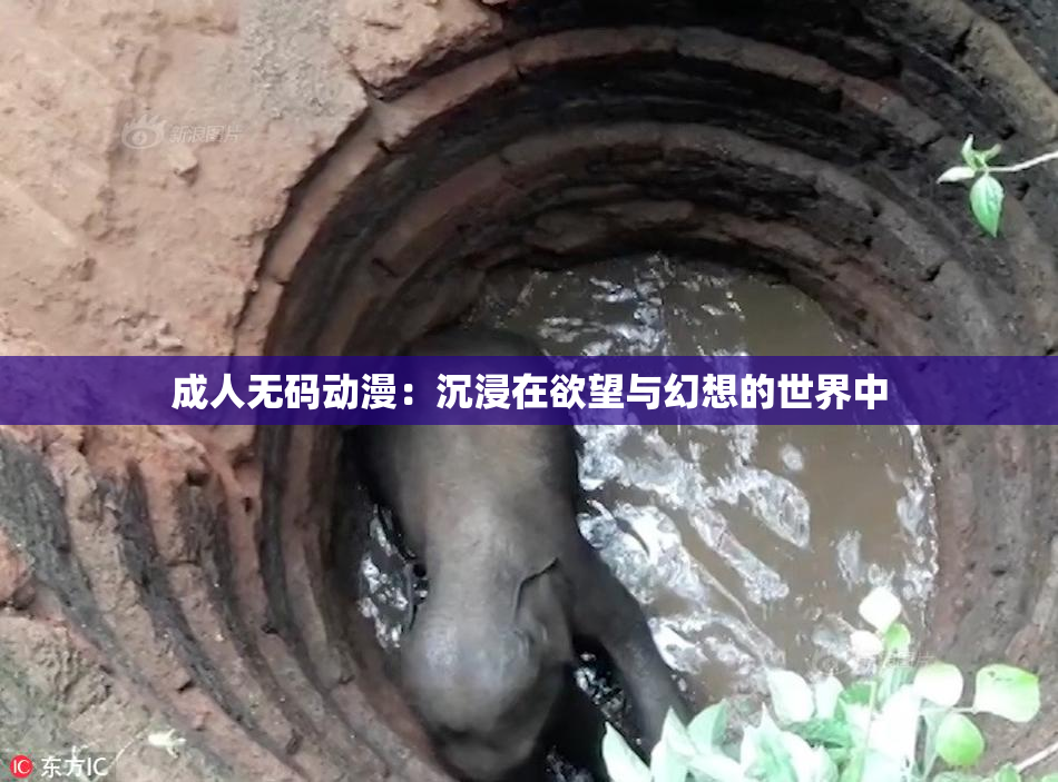 成人无码动漫：沉浸在欲望与幻想的世界中