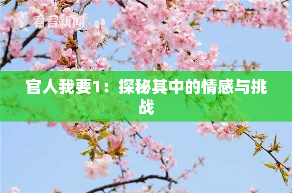 官人我要1：探秘其中的情感与挑战