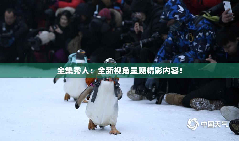 全集秀人：全新视角呈现精彩内容！