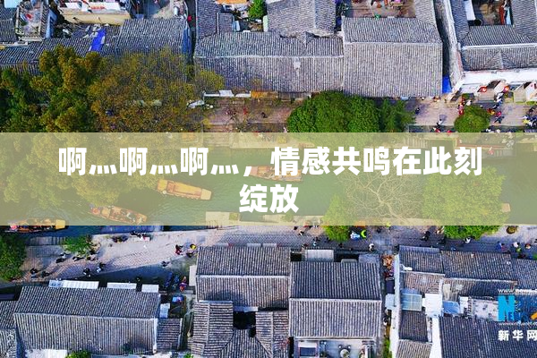 啊灬啊灬啊灬，情感共鸣在此刻绽放