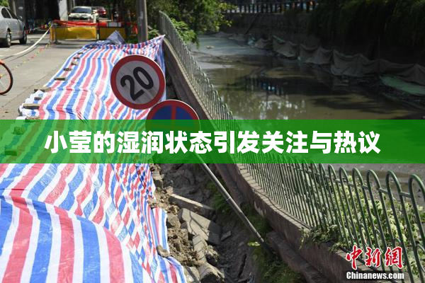 小莹的湿润状态引发关注与热议