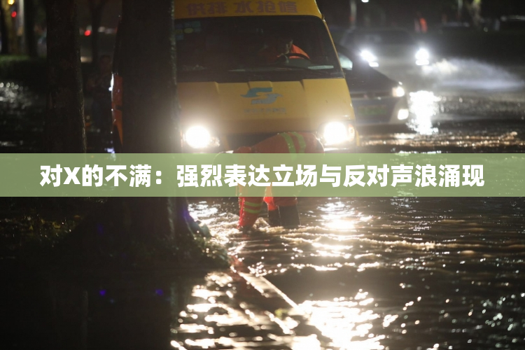 对X的不满：强烈表达立场与反对声浪涌现