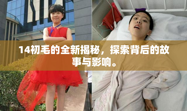 14初毛的全新揭秘，探索背后的故事与影响。