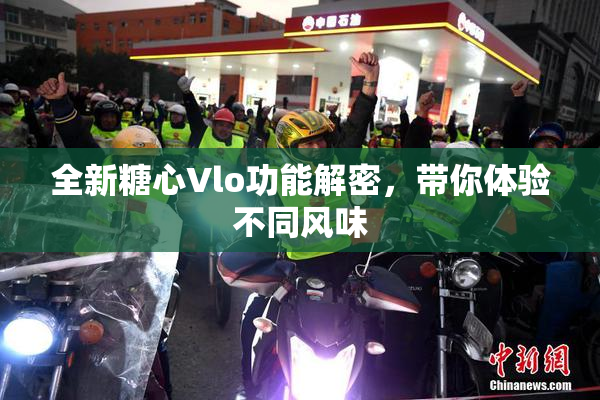 全新糖心Vlo功能解密，带你体验不同风味