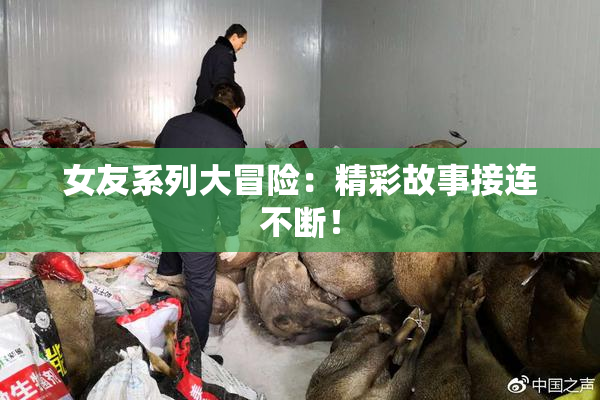 女友系列大冒险：精彩故事接连不断！