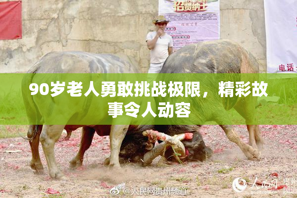 90岁老人勇敢挑战极限，精彩故事令人动容