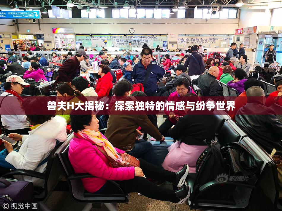 兽夫H大揭秘：探索独特的情感与纷争世界