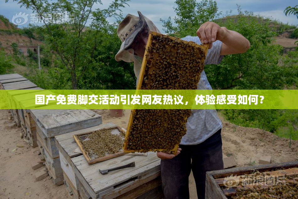 国产免费脚交活动引发网友热议，体验感受如何？