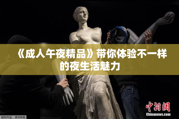 《成人午夜精品》带你体验不一样的夜生活魅力