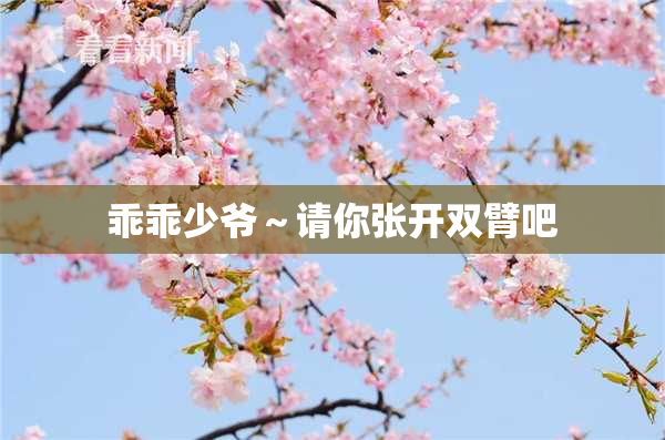 乖乖少爷～请你张开双臂吧