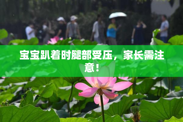宝宝趴着时腿部受压，家长需注意！