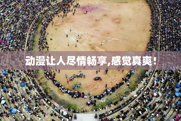 动漫让人尽情畅享,感觉真爽！