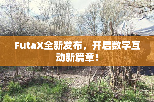FutaX全新发布，开启数字互动新篇章！