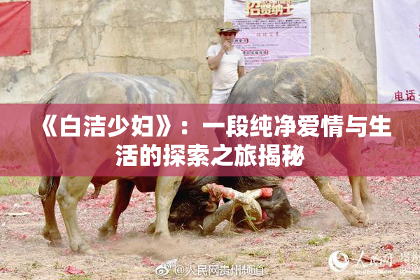 《白洁少妇》：一段纯净爱情与生活的探索之旅揭秘