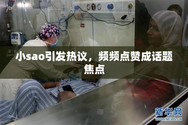 小sao引发热议，频频点赞成话题焦点