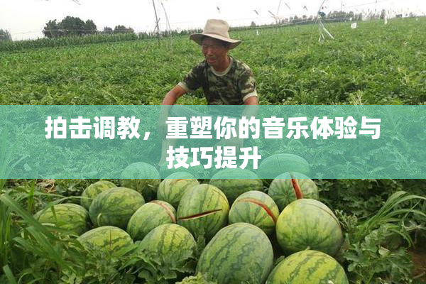 拍击调教，重塑你的音乐体验与技巧提升