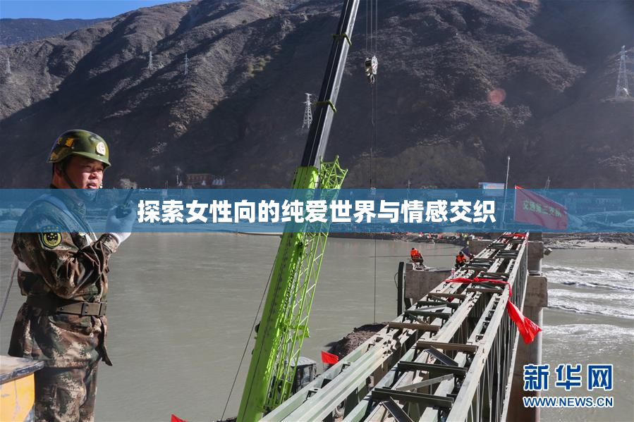 探索女性向的纯爱世界与情感交织