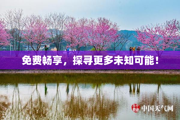 免费畅享，探寻更多未知可能！
