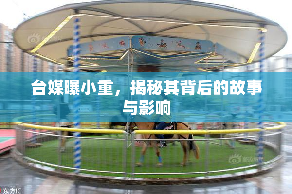 台媒曝小重，揭秘其背后的故事与影响