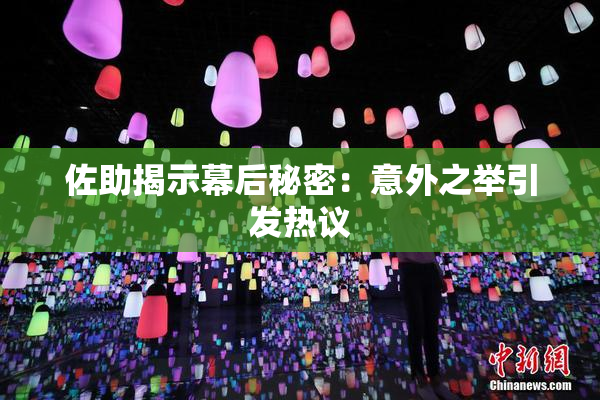 佐助揭示幕后秘密：意外之举引发热议