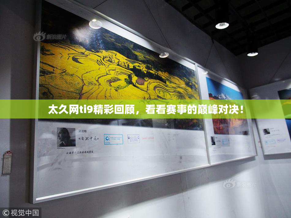 太久网ti9精彩回顾，看看赛事的巅峰对决！