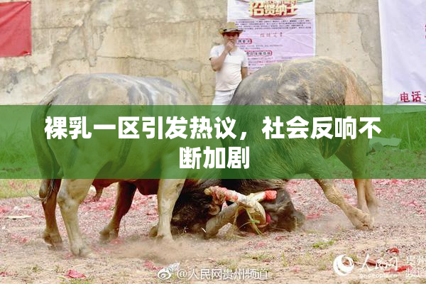 裸乳一区引发热议，社会反响不断加剧