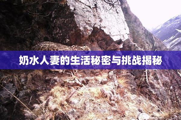 奶水人妻的生活秘密与挑战揭秘