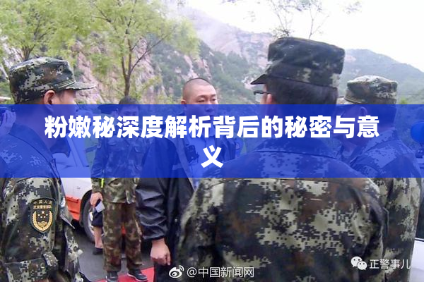 粉嫩秘深度解析背后的秘密与意义