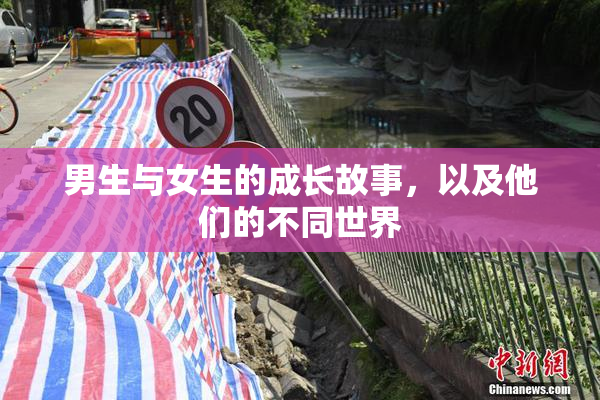 男生与女生的成长故事，以及他们的不同世界