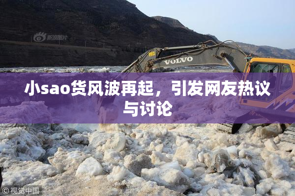 小sao货风波再起，引发网友热议与讨论