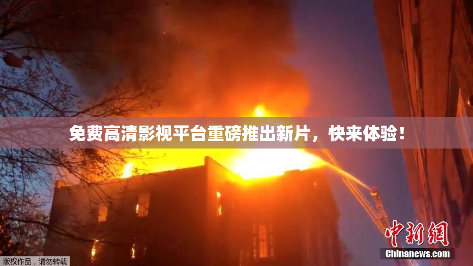 免费高清影视平台重磅推出新片，快来体验！