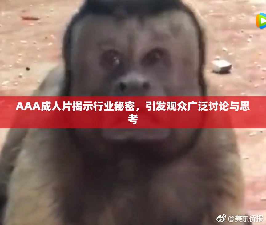 AAA成人片揭示行业秘密，引发观众广泛讨论与思考