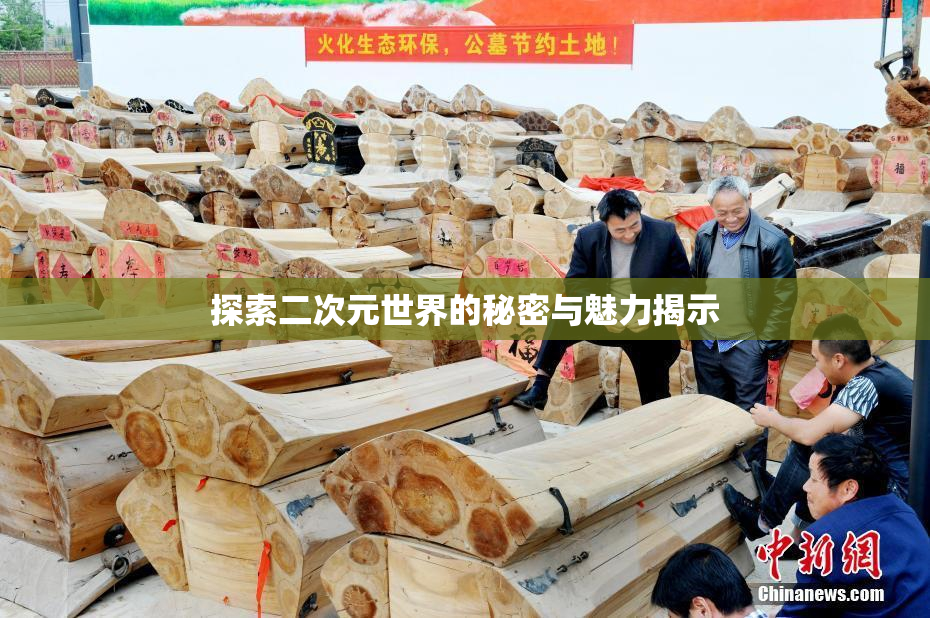 探索二次元世界的秘密与魅力揭示