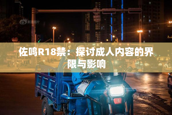 佐鸣R18禁：探讨成人内容的界限与影响