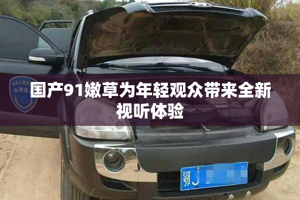 国产91嫩草为年轻观众带来全新视听体验