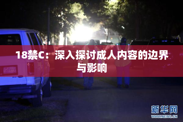 18禁C：深入探讨成人内容的边界与影响