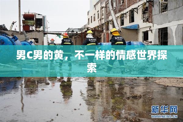 男C男的黄，不一样的情感世界探索