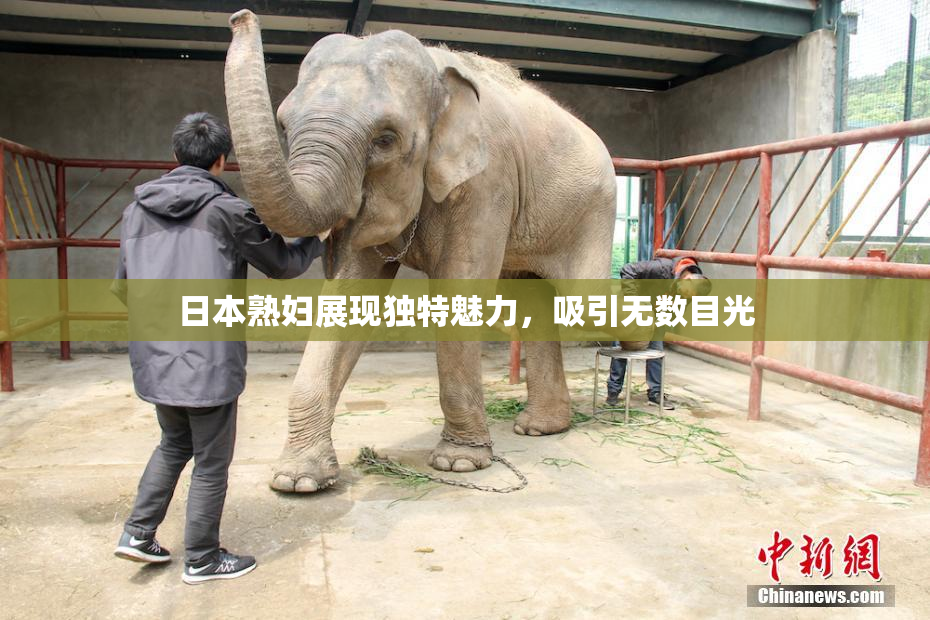 日本熟妇展现独特魅力，吸引无数目光