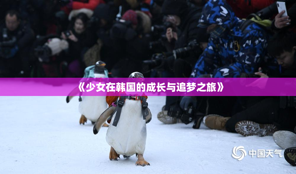 《少女在韩国的成长与追梦之旅》