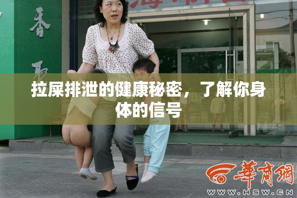 拉屎排泄的健康秘密，了解你身体的信号