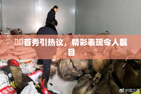 妺妺首秀引热议，精彩表现令人瞩目