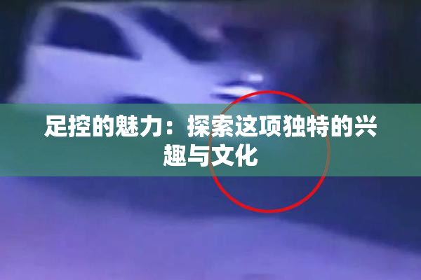 足控的魅力：探索这项独特的兴趣与文化
