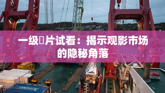 一级婬片试看：揭示观影市场的隐秘角落