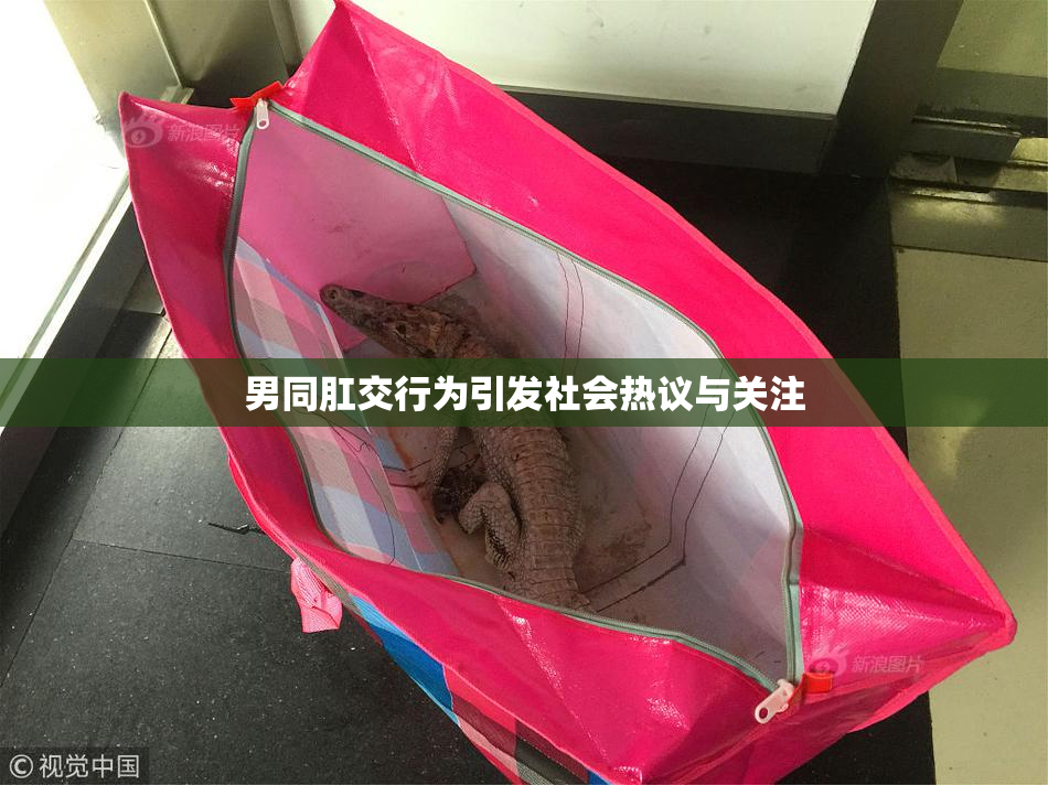 男同肛交行为引发社会热议与关注