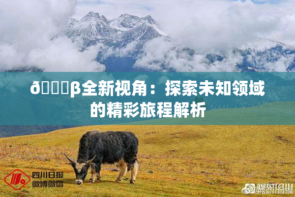 👙β全新视角：探索未知领域的精彩旅程解析
