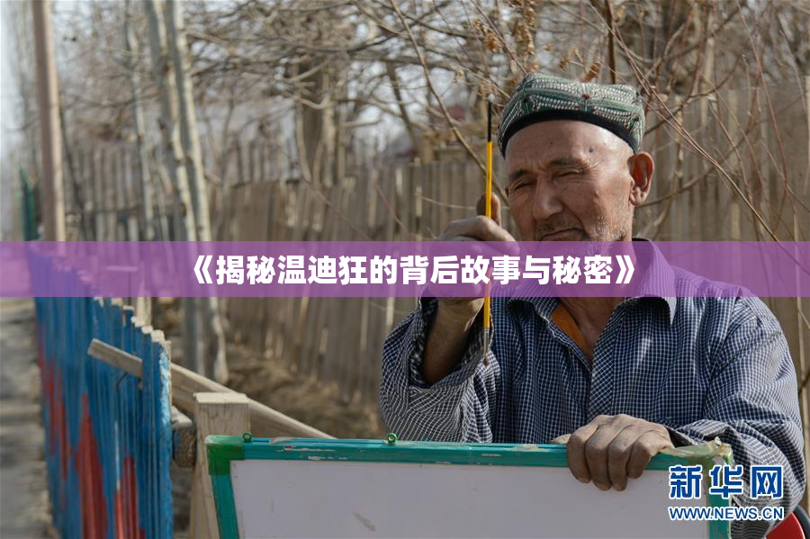 《揭秘温迪狂的背后故事与秘密》