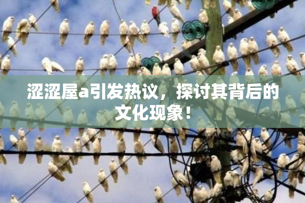 涩涩屋a引发热议，探讨其背后的文化现象！