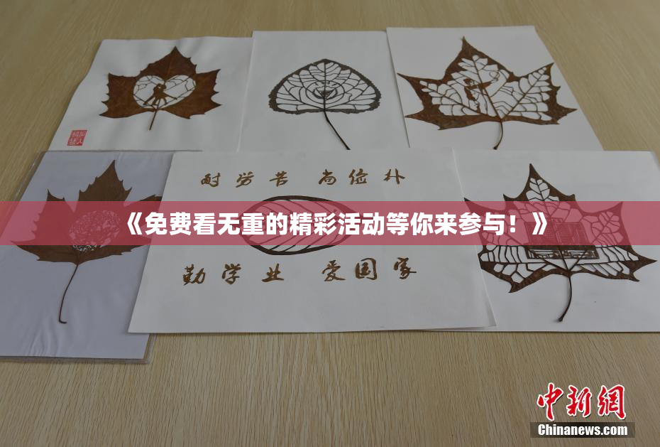 《免费看无重的精彩活动等你来参与！》
