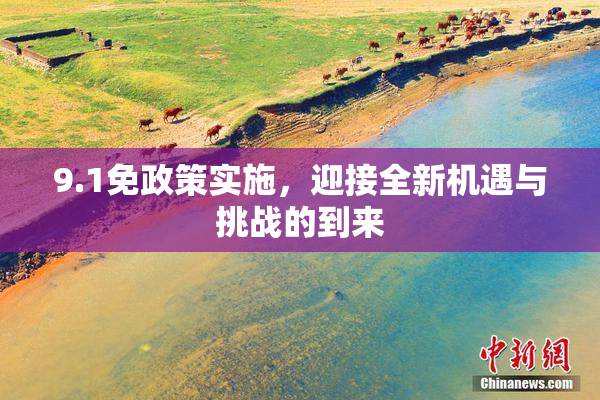 9.1免政策实施，迎接全新机遇与挑战的到来