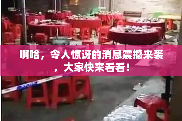 啊哈，令人惊讶的消息震撼来袭，大家快来看看！